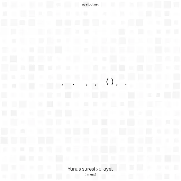 Ayetbul | Kuran Mealleri | Quran | Yunus suresi 30. ayet