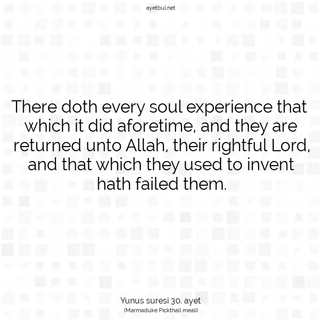 Ayetbul | Kuran Mealleri | Quran | Yunus suresi 30. ayet