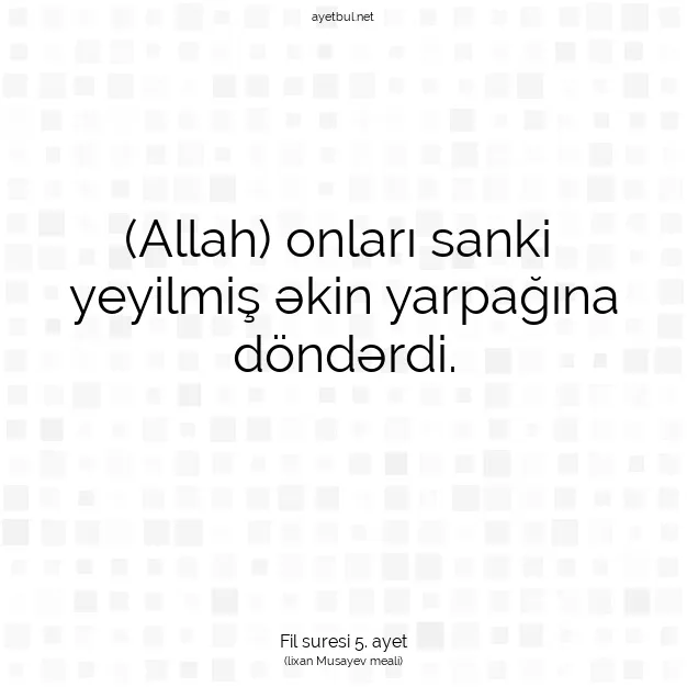 Ayetbul | Kuran Mealleri | Quran | Fil suresi 5. ayet