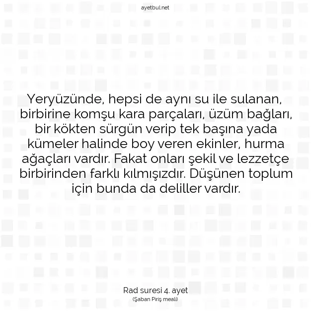 Ayetbul | Kuran Mealleri | Quran | Rad suresi 4. ayet