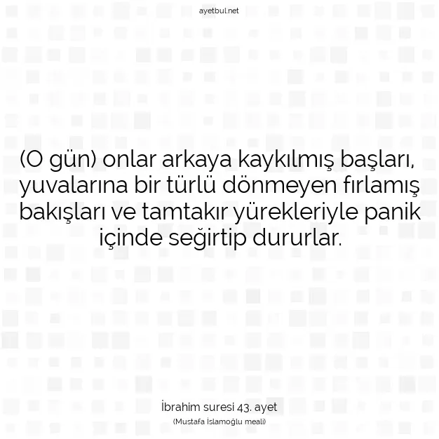 Ayetbul | Kuran Mealleri | Quran | İbrahim suresi 43. ayet