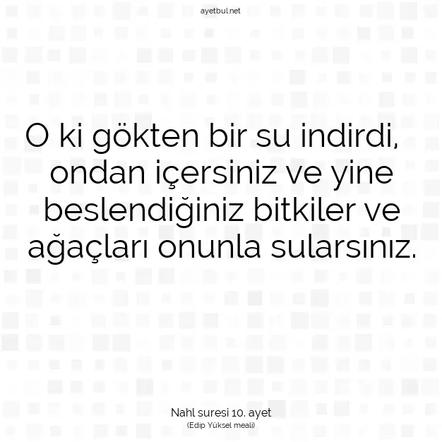 Ayetbul | Kuran Mealleri | Quran | Nahl suresi 10. ayet