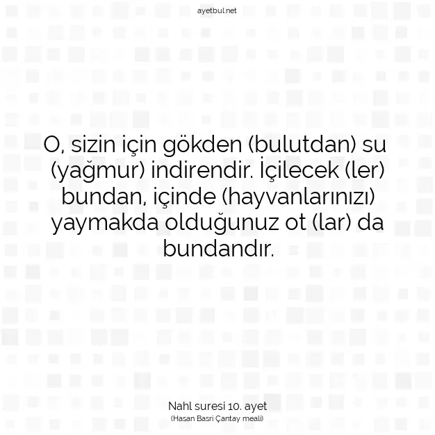 Ayetbul | Kuran Mealleri | Quran | Nahl suresi 10. ayet