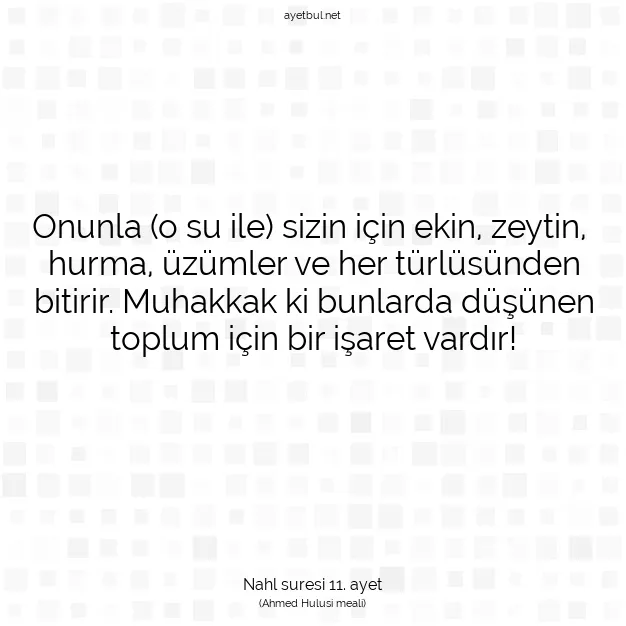 Ayetbul | Kuran Mealleri | Quran | Nahl suresi 11. ayet