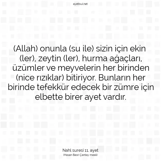 Ayetbul | Kuran Mealleri | Quran | Nahl suresi 11. ayet