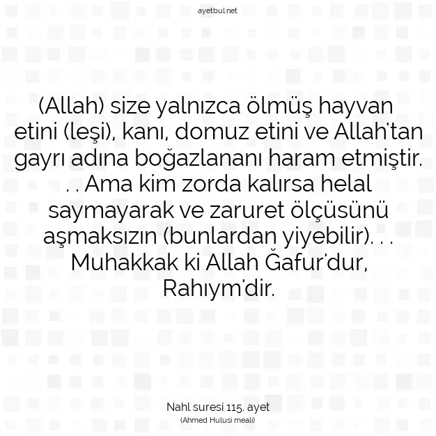 Ayetbul | Kuran Mealleri | Quran | Nahl suresi 115. ayet