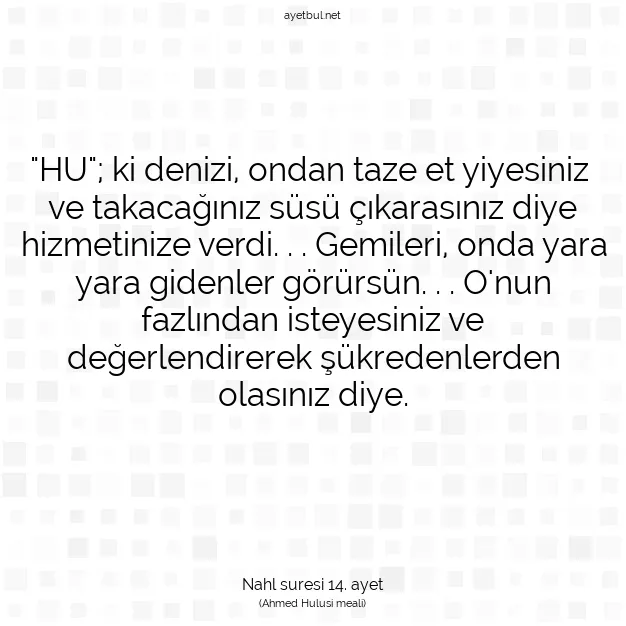 Ayetbul | Kuran Mealleri | Quran | Nahl suresi 14. ayet