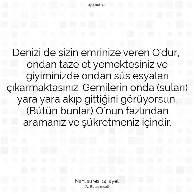 Ayetbul | Kuran Mealleri | Quran | Nahl suresi 14. ayet