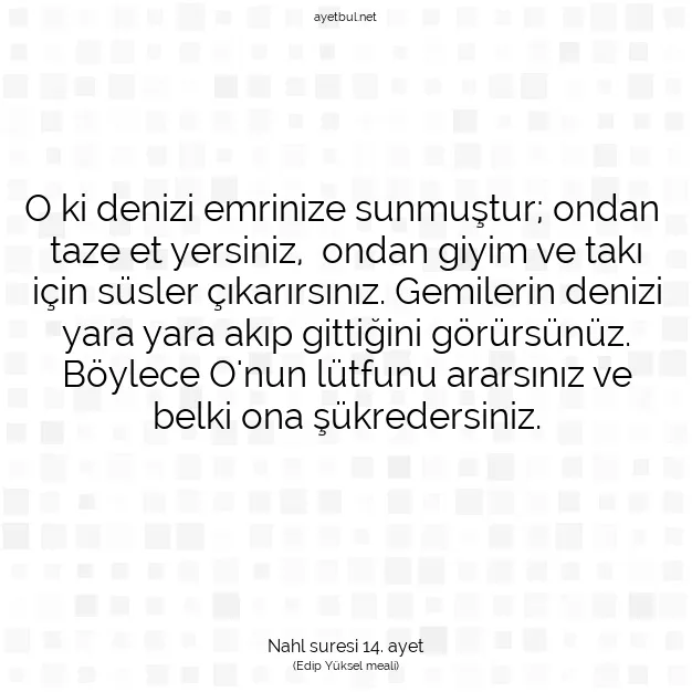 Ayetbul | Kuran Mealleri | Quran | Nahl suresi 14. ayet
