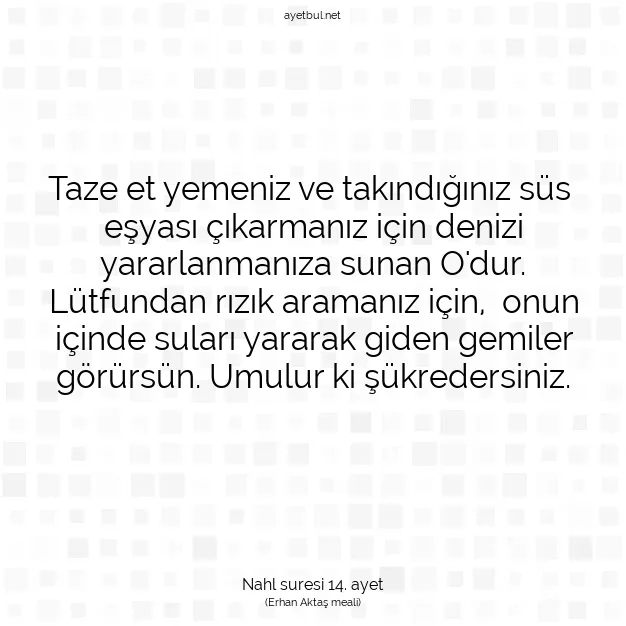Ayetbul | Kuran Mealleri | Quran | Nahl suresi 14. ayet