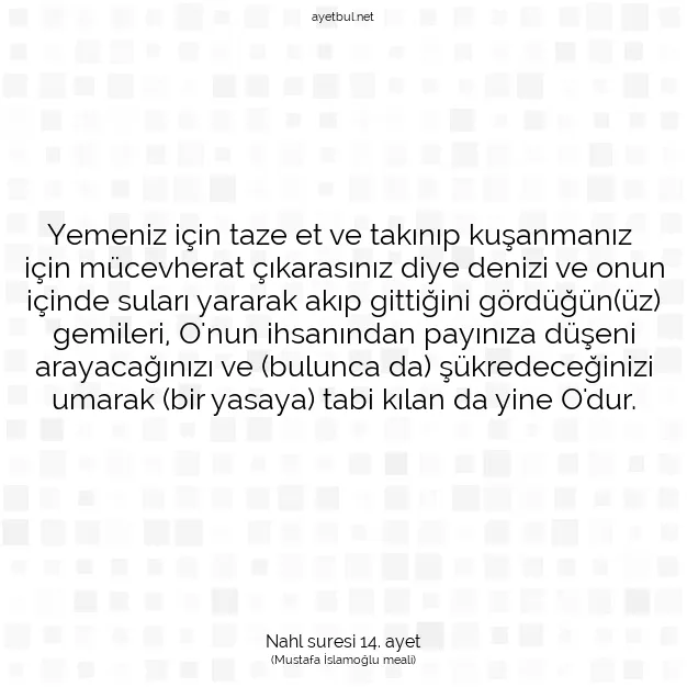 Ayetbul | Kuran Mealleri | Quran | Nahl suresi 14. ayet