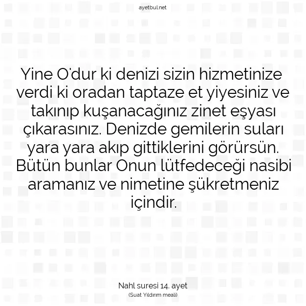 Ayetbul | Kuran Mealleri | Quran | Nahl suresi 14. ayet