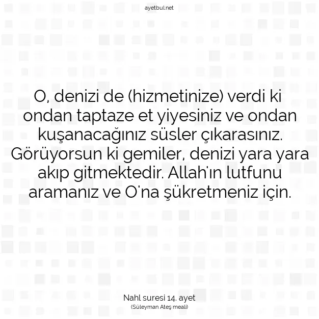 Ayetbul | Kuran Mealleri | Quran | Nahl suresi 14. ayet
