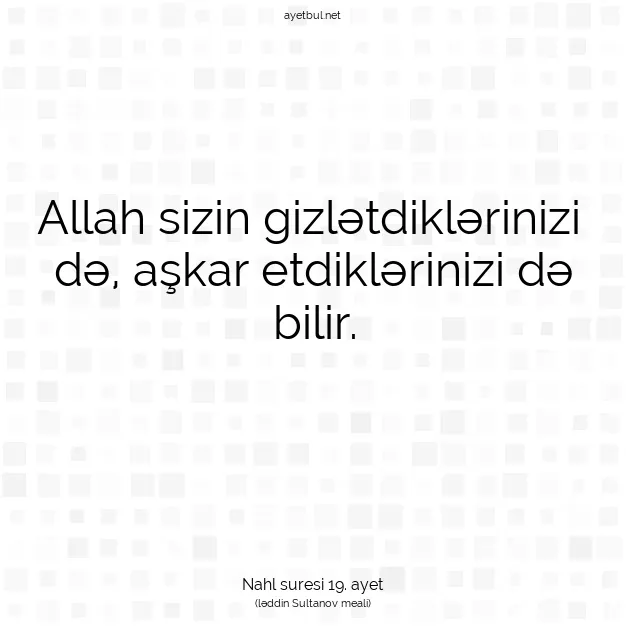 Ayetbul | Kuran Mealleri | Quran | Nahl suresi 19. ayet