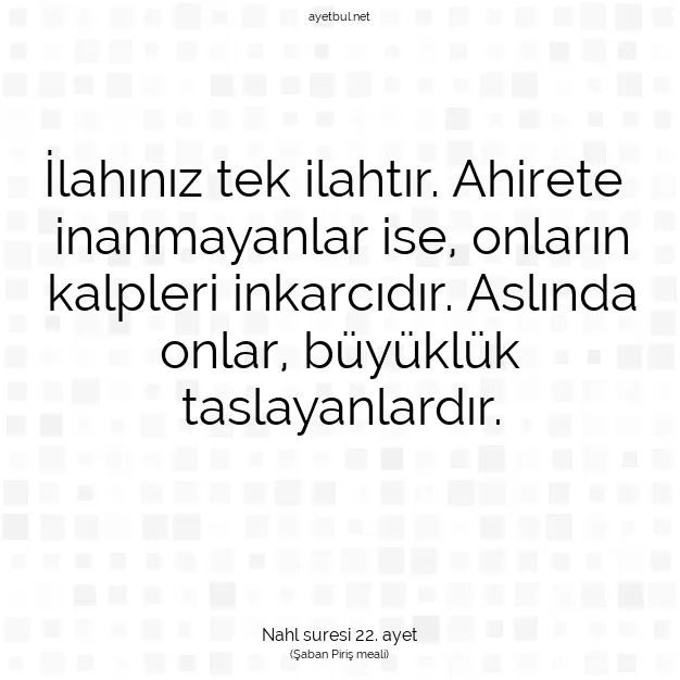 Ayetbul | Kuran Mealleri | Quran | Nahl suresi 22. ayet