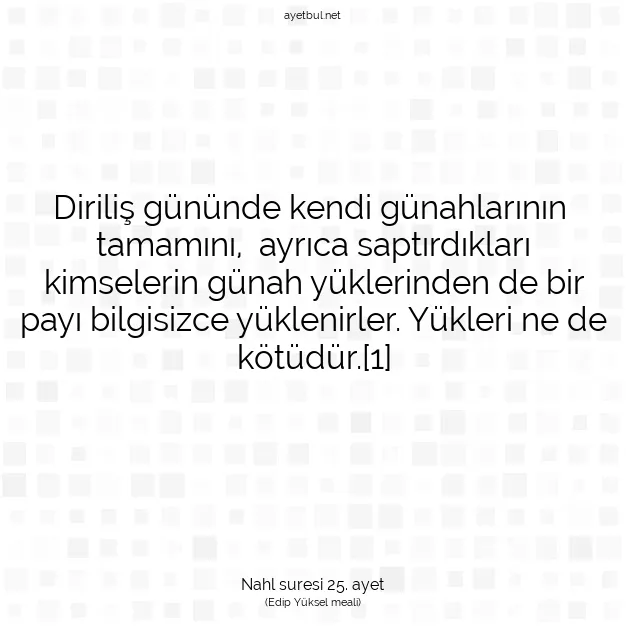 Ayetbul | Kuran Mealleri | Quran | Nahl suresi 25. ayet