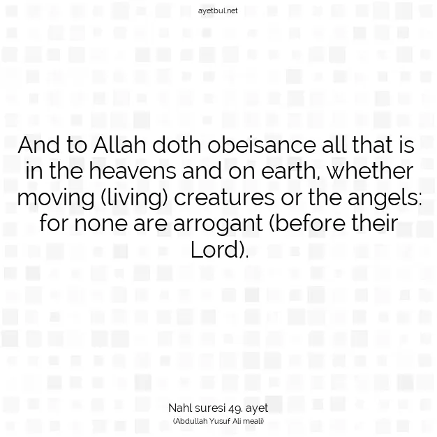 Ayetbul | Kuran Mealleri | Quran | Nahl suresi 49. ayet