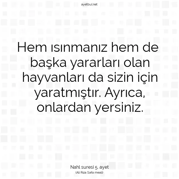 Ayetbul | Kuran Mealleri | Quran | Nahl suresi 5. ayet