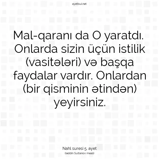 Ayetbul | Kuran Mealleri | Quran | Nahl suresi 5. ayet