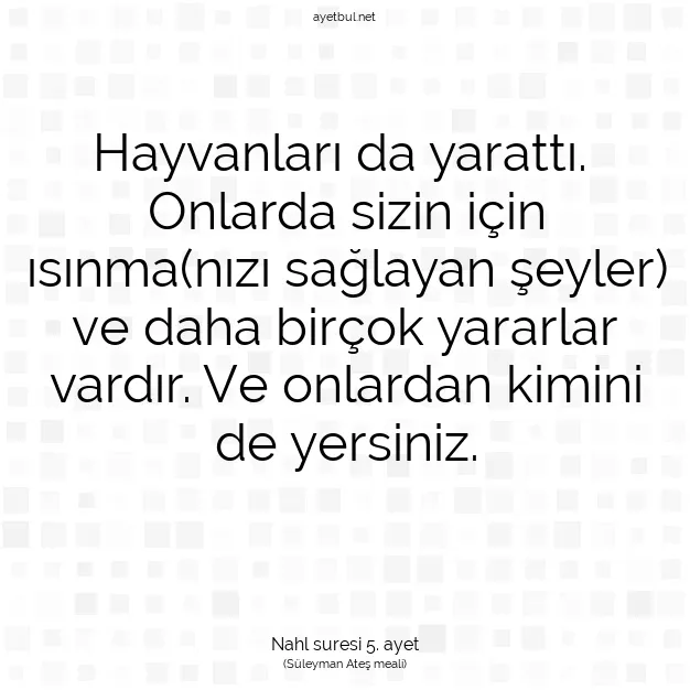 Ayetbul | Kuran Mealleri | Quran | Nahl suresi 5. ayet