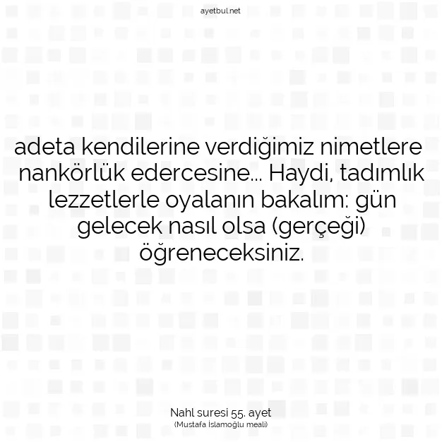 Ayetbul | Kuran Mealleri | Quran | Nahl suresi 55. ayet