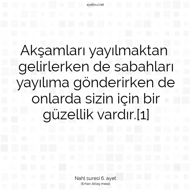 Ayetbul | Kuran Mealleri | Quran | Nahl suresi 6. ayet