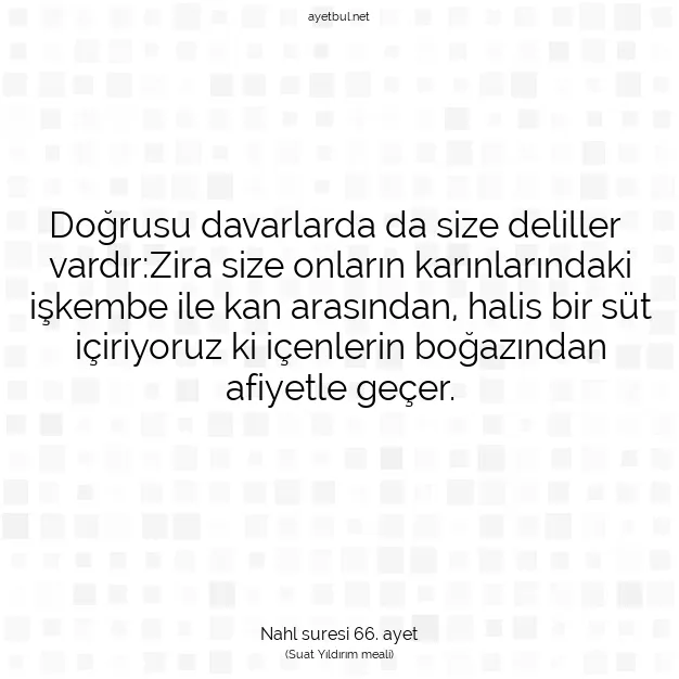 Ayetbul | Kuran Mealleri | Quran | Nahl suresi 66. ayet