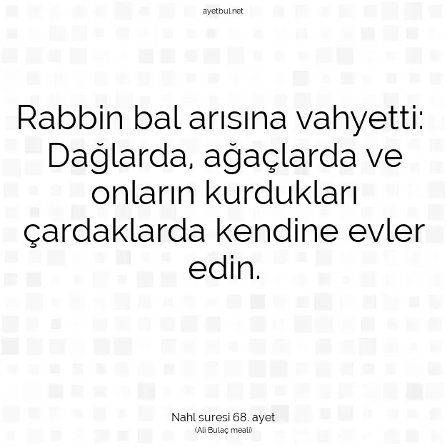 Ayetbul | Kuran Mealleri | Quran | Nahl suresi 68. ayet