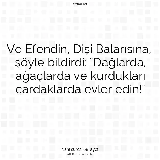 Ayetbul | Kuran Mealleri | Quran | Nahl suresi 68. ayet