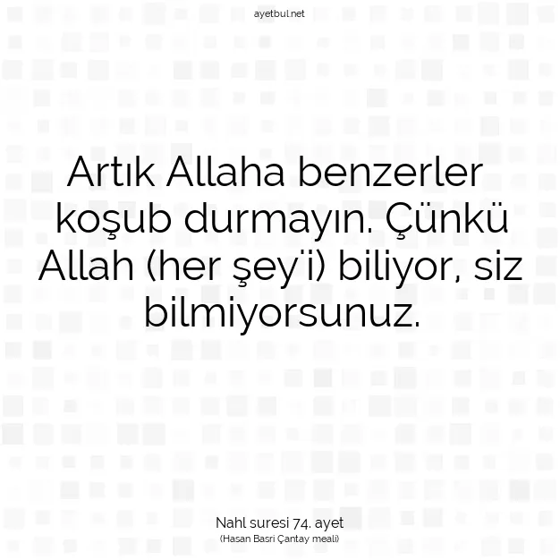 Ayetbul | Kuran Mealleri | Quran | Nahl suresi 74. ayet