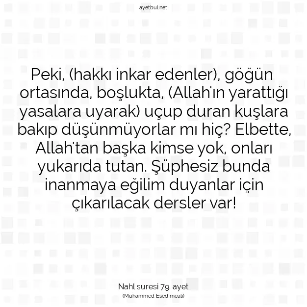 Ayetbul | Kuran Mealleri | Quran | Nahl suresi 79. ayet