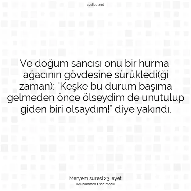 Ayetbul | Kuran Mealleri | Quran | Meryem suresi 23. ayet