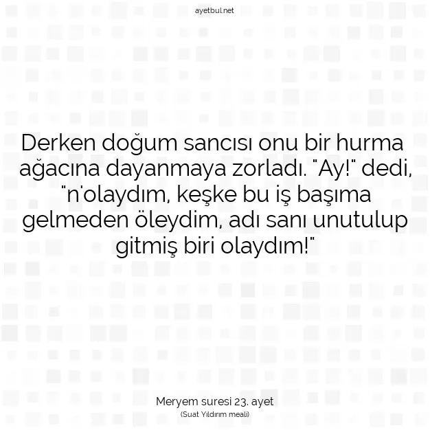 Ayetbul | Kuran Mealleri | Quran | Meryem suresi 23. ayet