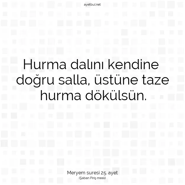 Ayetbul | Kuran Mealleri | Quran | Meryem suresi 25. ayet