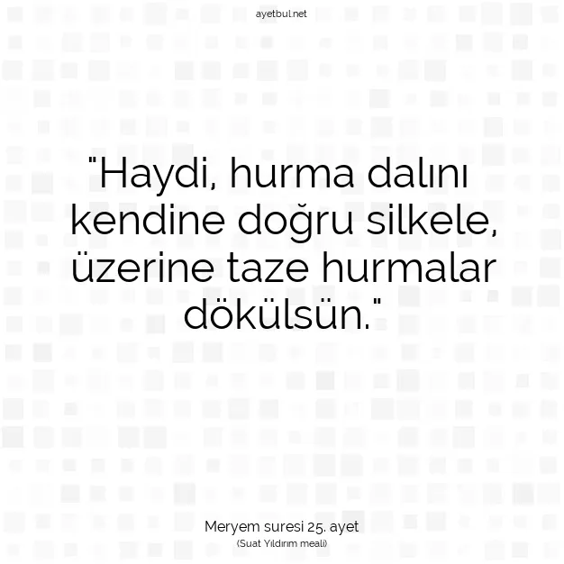 Ayetbul | Kuran Mealleri | Quran | Meryem suresi 25. ayet