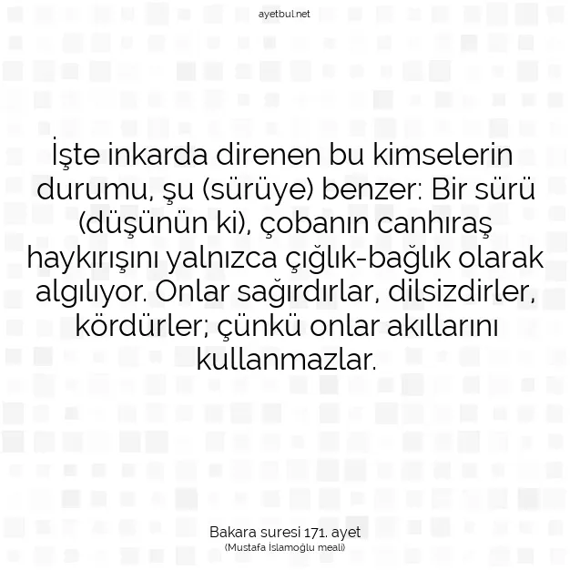 Ayetbul | Kuran Mealleri | Quran | Bakara suresi 171. ayet