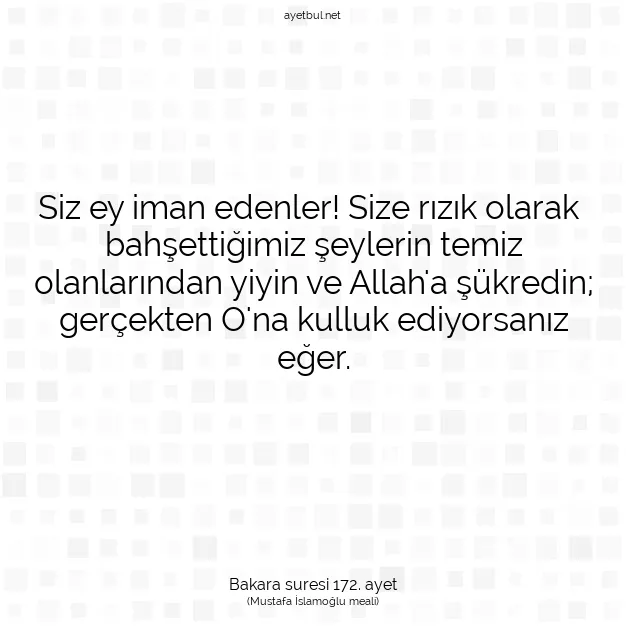 Ayetbul | Kuran Mealleri | Quran | Bakara suresi 172. ayet