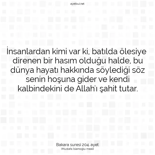 Ayetbul | Kuran Mealleri | Quran | Bakara suresi 204. ayet
