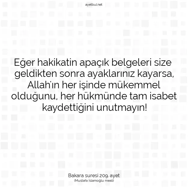 Ayetbul | Kuran Mealleri | Quran | Bakara suresi 209. ayet