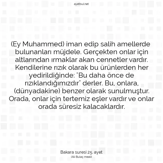 Ayetbul | Kuran Mealleri | Quran | Bakara suresi 25. ayet