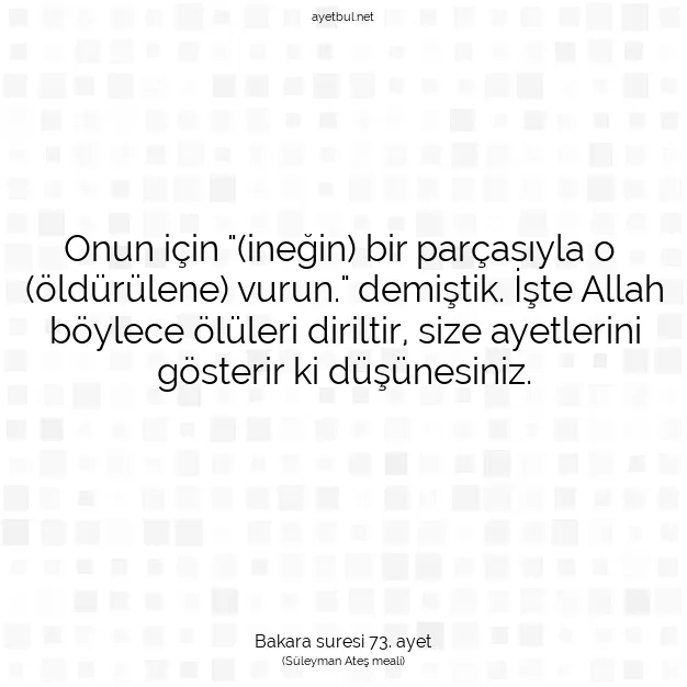 Ayetbul | Kuran Mealleri | Quran | Bakara suresi 73. ayet