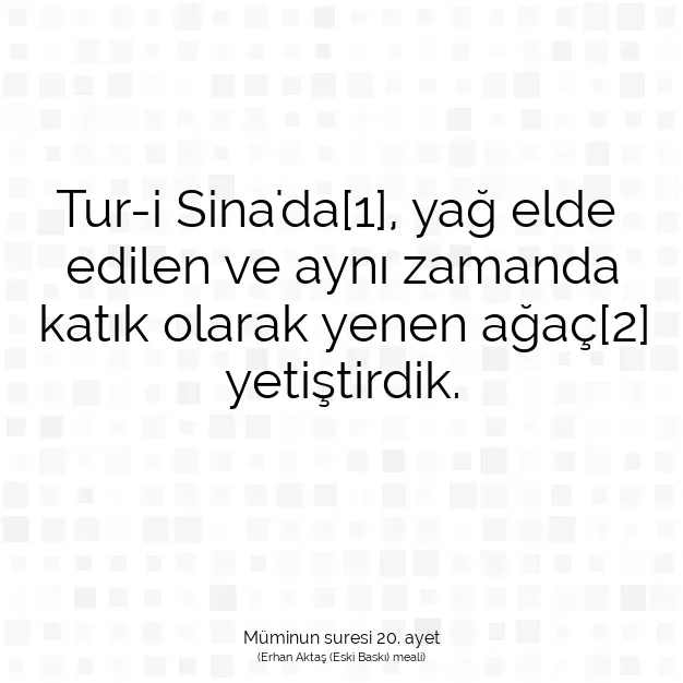 Ayetbul | Kuran Mealleri | Quran | Müminun suresi 20. ayet