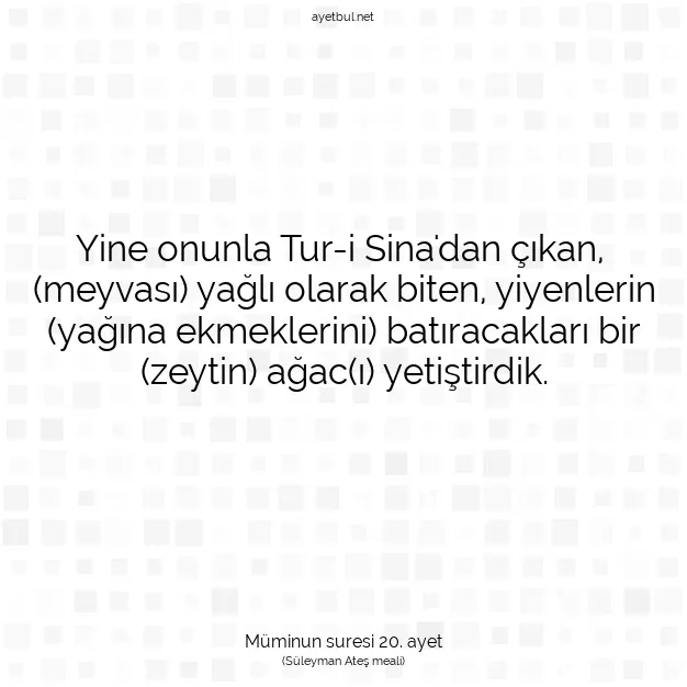 Ayetbul | Kuran Mealleri | Quran | Müminun suresi 20. ayet