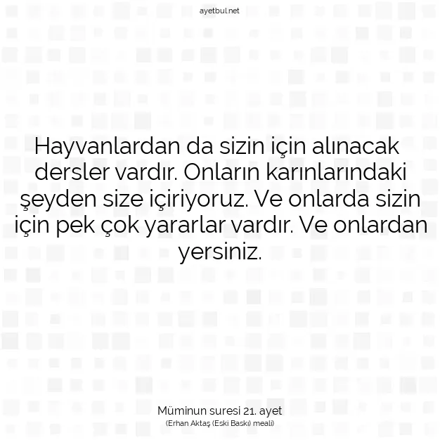 Ayetbul | Kuran Mealleri | Quran | Müminun suresi 21. ayet