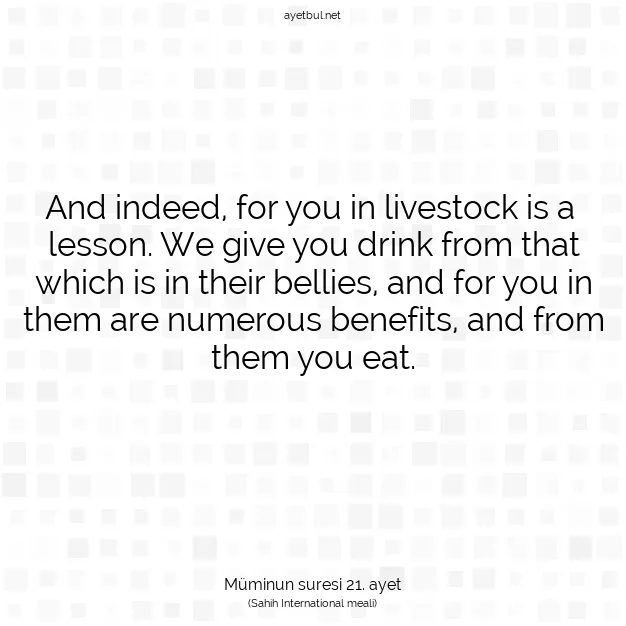 Ayetbul | Kuran Mealleri | Quran | Müminun suresi 21. ayet