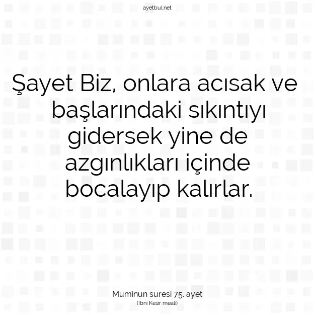 Ayetbul | Kuran Mealleri | Quran | Müminun suresi 75. ayet