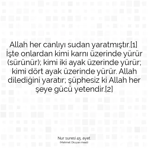 Ayetbul | Kuran Mealleri | Quran | Nur suresi 45. ayet