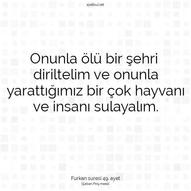 Ayetbul | Kuran Mealleri | Quran | Furkan suresi 49. ayet