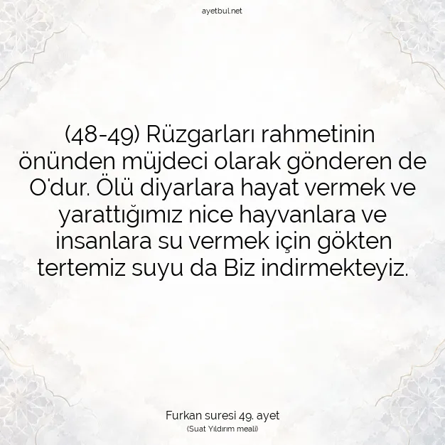 Ayetbul | Kuran Mealleri | Quran | Furkan suresi 49. ayet