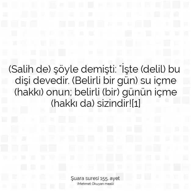 Ayetbul | Kuran Mealleri | Quran | Şuara suresi 155. ayet
